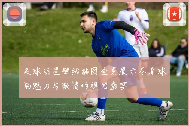 足球明星壁纸插图全景展示尽享球场魅力与激情的视觉盛宴