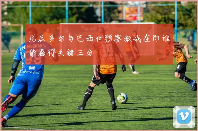 厄瓜多尔与巴西世预赛激战在即谁能赢得关键三分