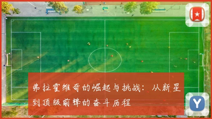 弗拉霍维奇的崛起与挑战：从新星到顶级前锋的奋斗历程